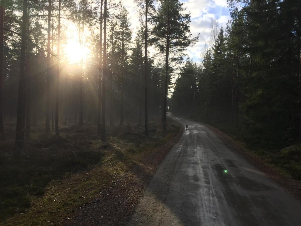 Triangle Cabin Laitila Eksteriør bilde