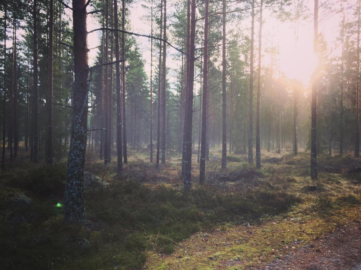 Triangle Cabin Laitila Eksteriør bilde